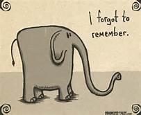 forgot-elephant